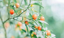 人物开心句子的描写