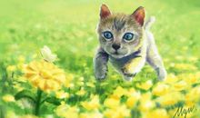 描写动物的爱的句子