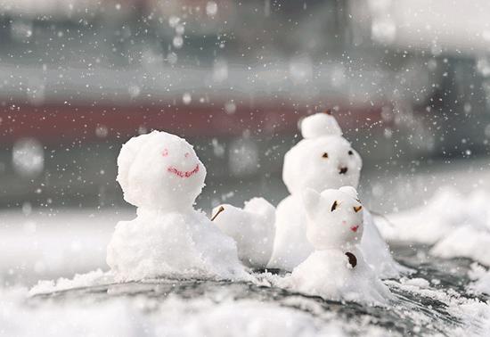 纯净的雪冲刷了肮脏的世界
