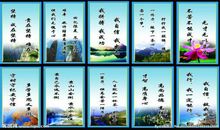 体育明星励志名言