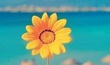 中午说说正能量 适合中午发的励志说说