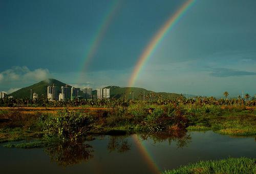 风雨过后
