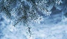 痛到心碎的句子 张爱玲