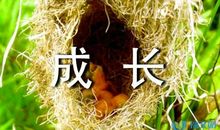 成长感悟的优美句子