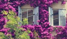 网络经典爱情语句:决定忘记的人再见到就别再心潮澎湃了