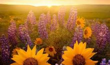 如何哄别人开心的句子