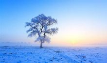 冬雪开心的句子