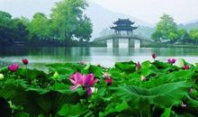 描写西湖风光的诗句