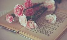 好好学习的个性签名