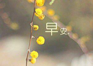 说早安