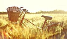 被点赞最多的经典英文短句