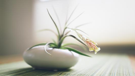 编辑编辑了一些有关情绪情感的句子