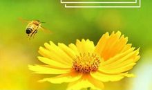 少年励志祝福语