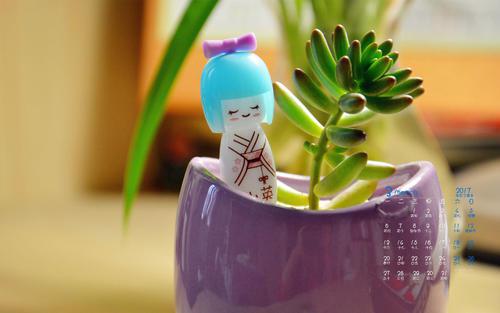 我希望你喜欢它