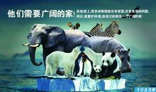 保护动物的广告语