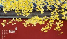 秋分的句子短句唯美 有关秋分的文艺句子