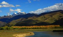 寂寞孤单伤感的句子