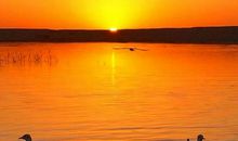 描写落日的古诗句