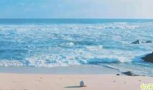 村上春树《且听风吟》名句 《且听风吟》里面经典语录