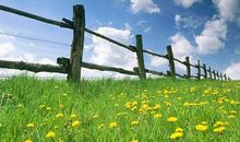 形容岁月珍惜亲情的句子