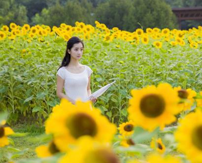 赞美姐妹之情的优美句子是什么