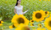 赞美姐妹亲情的优美句子