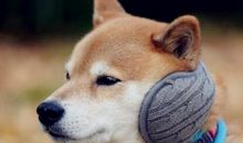 逗人开心的段子说说