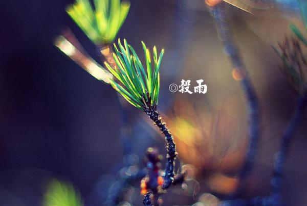 进入山谷雨后