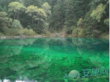   梦见水很清澈