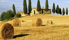 有关亲情的句子大全