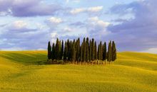 最新植树节祝福语大全 植树节适合发朋友圈的祝福语