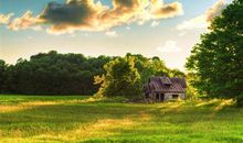 关于压力的说说 生活压力工作压力的说说