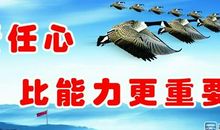 保险销售团队口号