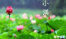 跟小满有关的句子 今日小满的文案