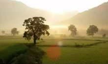 不后悔爱一个人的句子