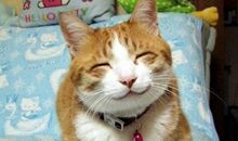 天天要开心的句子