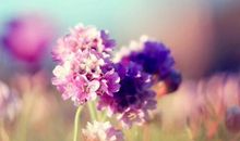 形容此刻很幸福的句子