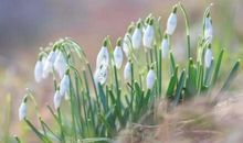 二月早安句子说说 一月再见二月你好的语句