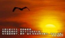 形容自己沧桑的句子