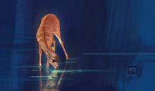 对上班卖货失望的句子