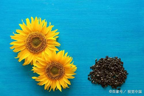 我想念我的亲人