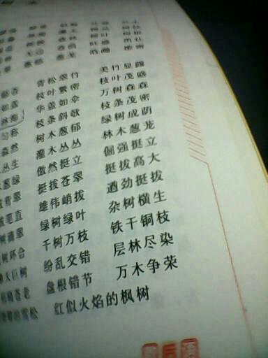   树木的成语  1