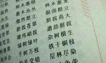 描写树木的成语