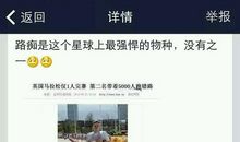 qq空间逗比评论