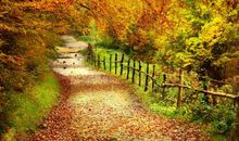 描写秋天景色优美句子