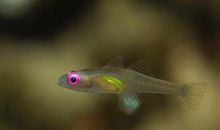 用忐忑不安造句 忐忑不安怎么造句