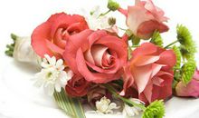 酒店感恩顾客的句子