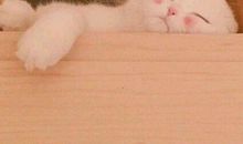 表示对母亲感恩的句子