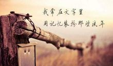 为你找到痛到心碎的句子