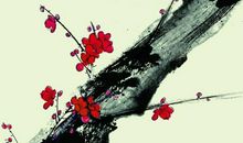 关于梅花的名言警句